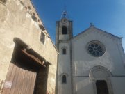 211118_Cammaous008.jpg
