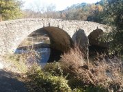 211118_Cammaous015.jpg