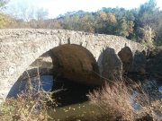 211118_Cammaous016.jpg