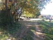 211118_Cammaous017.jpg