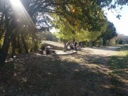 211118_Cammaous018.jpg