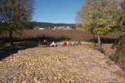 211118_Cammaous021.jpg