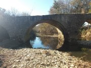 211118_Cammaous022.jpg