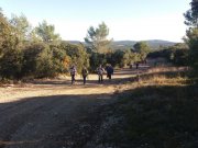 211118_Cammaous029.jpg