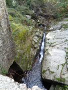 211025_Colognac07.jpg