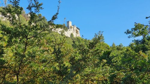Cliquer pour voir l'image en taille réelle