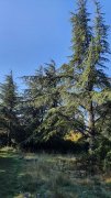 211018_Opp12.jpg