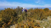 211018_Opp18.jpg
