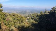 211018_Opp20.jpg