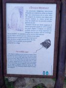 211018_Opp30.jpg
