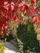 211018_Opp69.jpg