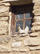 211017_Dim027G.jpg