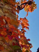 211017_Dim034B.jpg