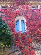 211017_Dim034C.jpg