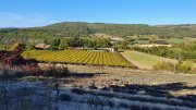 211017_Dim034E.jpg