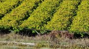 211017_Dim035.jpg
