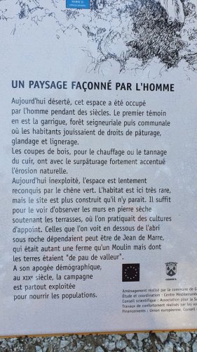 Cliquer pour voir l'image en taille réelle