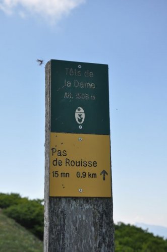 Cliquer pour voir l'image en taille réelle