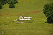 210614_Lundi003.jpg