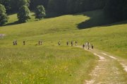 210614_Lundi004.jpg