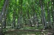 210614_Lundi006.jpg