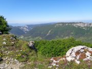 210614_Lundi008.jpg
