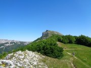 210614_Lundi009.jpg