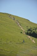 210614_Lundi021.jpg