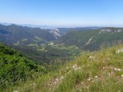 210614_Lundi033.jpg