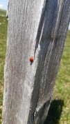 210614_Lundi034B.jpg