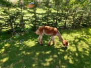 210614_Lundi049.jpg