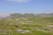 210612_Samedi004.jpg