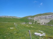 210612_Samedi017.jpg