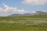 210612_Samedi021.jpg