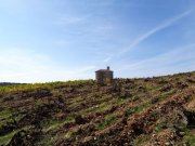 201008_St-Jean-de-Blaquieres001.jpg