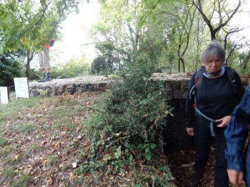 Cliquer pour voir l'image en taille réelle