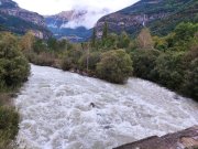 201002_Vendredi009.jpg