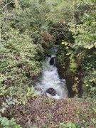 201002_Vendredi014.jpg