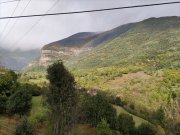 201002_Vendredi018.jpg