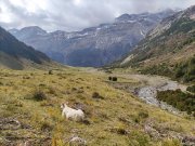 201001_Jeudi027.jpg
