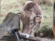 201001_Jeudi038.jpg