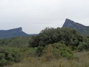 200927_St-Martin023.jpg