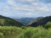 200614_Cabrillac007.jpg