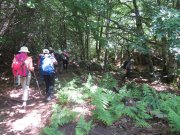 200606_Vernes027.jpg