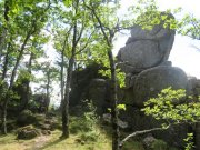 200606_Vernes034.jpg