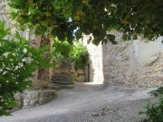 200606_Vernes042.jpg