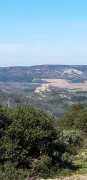 200308_Lamanon026B.jpg