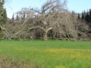 200308_Lamanon044.jpg