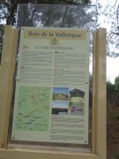 200213_Pinet002.jpg