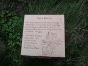 200213_Pinet006.jpg